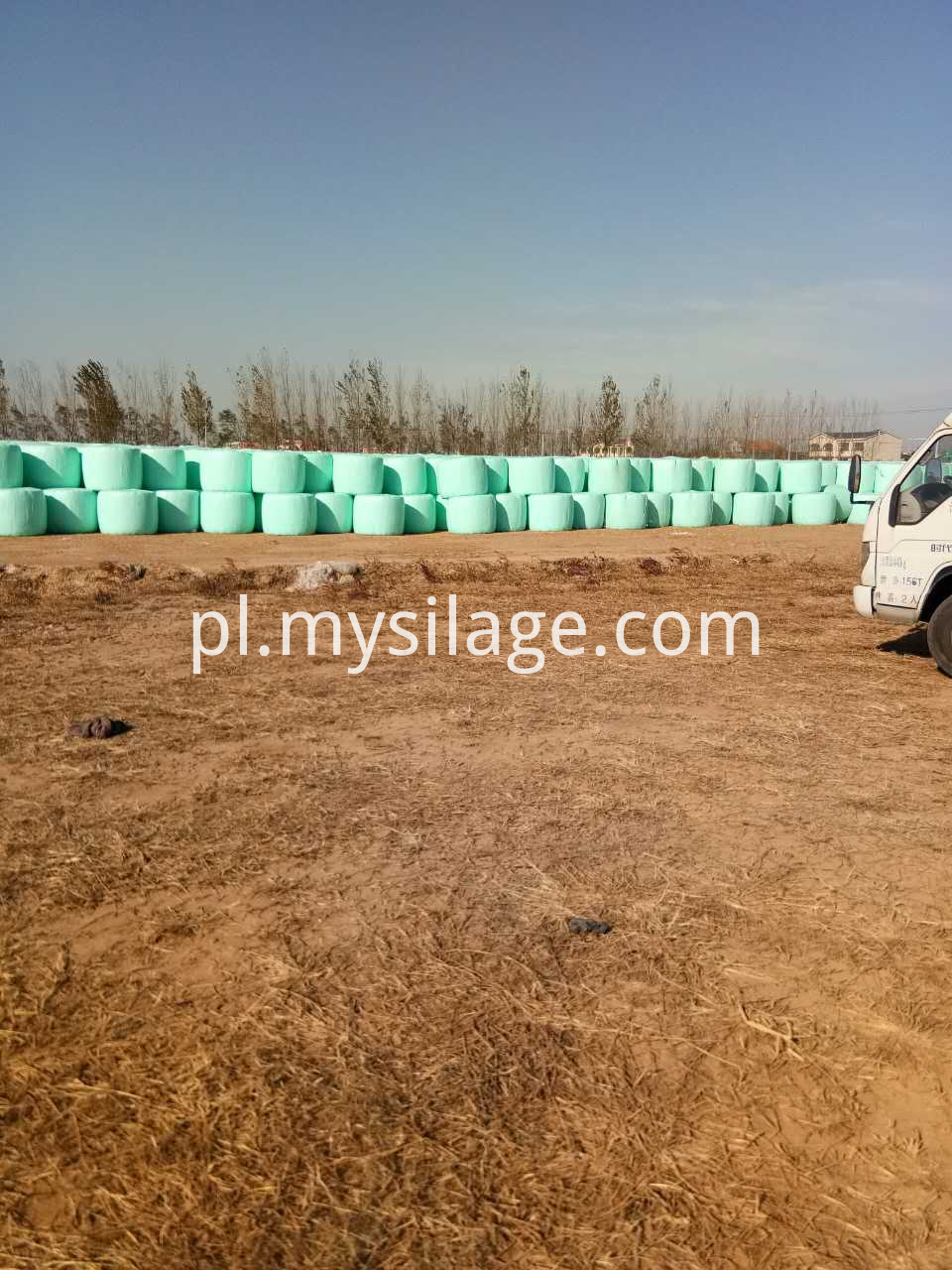 Beli do owijania kukurydzy Corn Wrapping Bale